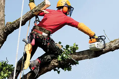 Charpentier – structures bois et charpentes traditionnelles – Site-Web-BTP